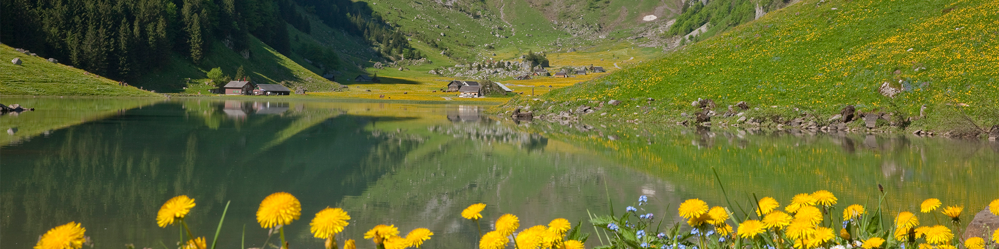 Schweizer Wanderwege