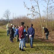 Heckenpflege mit Schulklasse